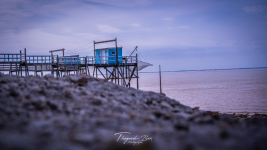 Stéphane LEBON - THEGOOD-BOX