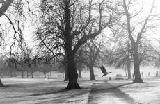 Rodolphe SERRES - RODOLPHE SERRES