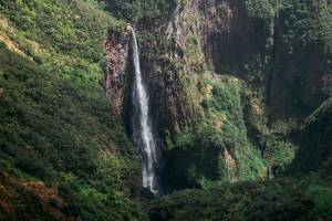 Térence LEE-CHAO-SHIT - LEE-CHAO-SHIT TERENCE